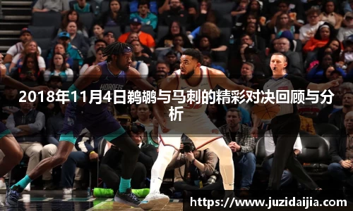 2018年11月4日鹈鹕与马刺的精彩对决回顾与分析